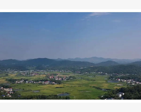 脾胃虚弱者能吃淡水鱼吗